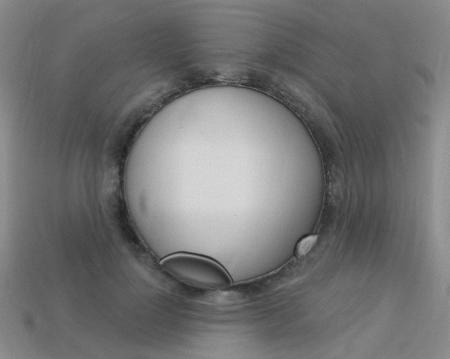X0000114100748200910051230
