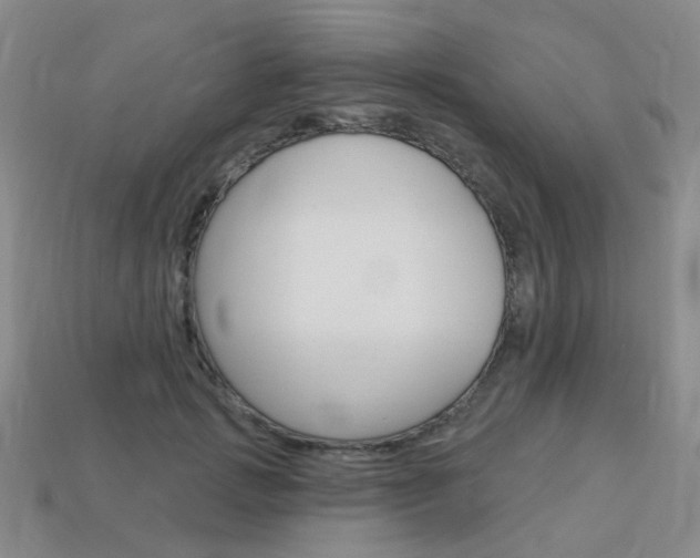 X0000114100749200910051230
