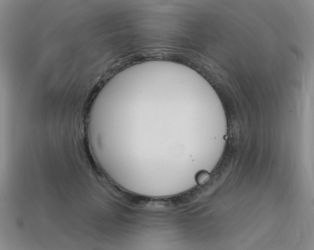 X0000114100751200910051230