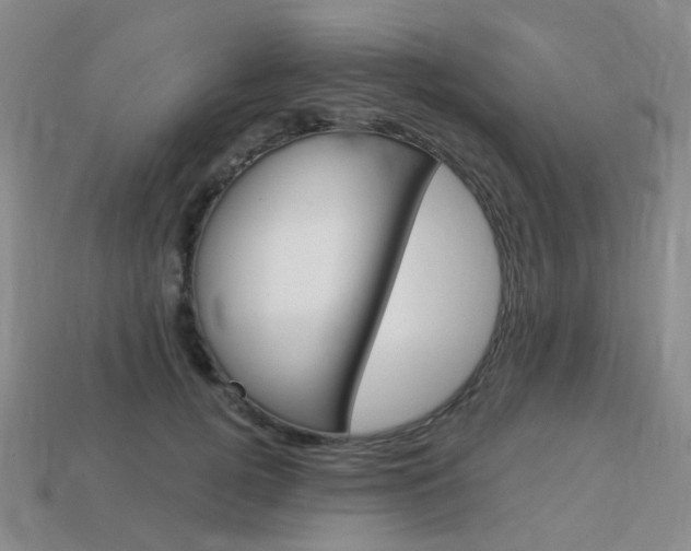 X0000114100752200910051230