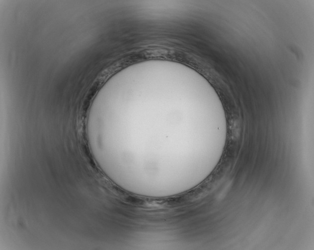 X0000114100753200910051230