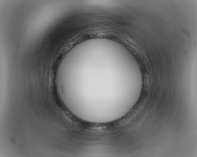 X0000114100760200910051230