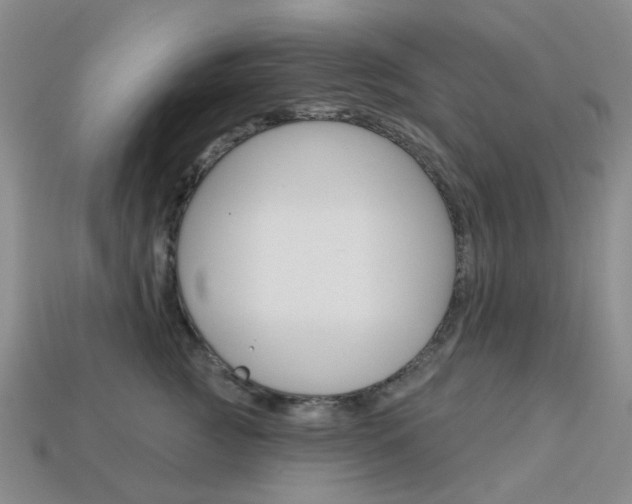 X0000114100761200910051230