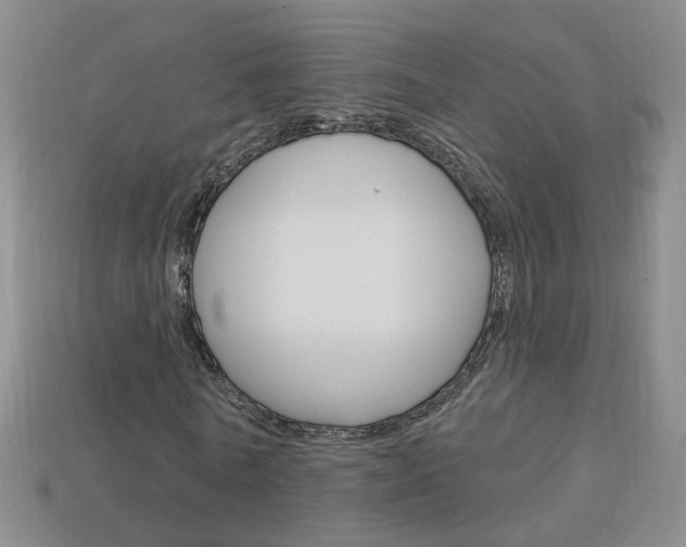 X0000114100770200910051230