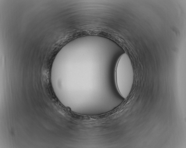X0000114100772200910051230