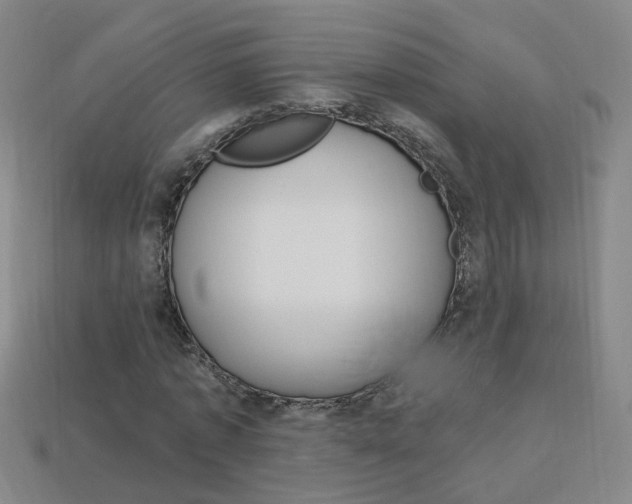 X0000114100773200910051230