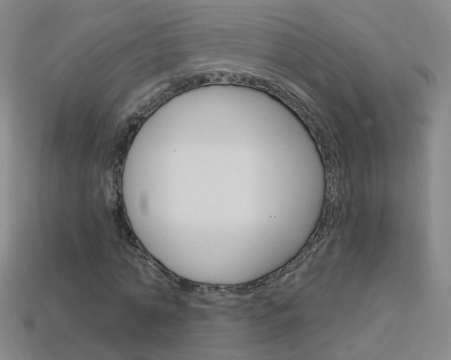 X0000114100774200910051230