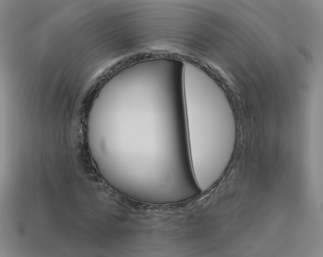 X0000114100776200910051230