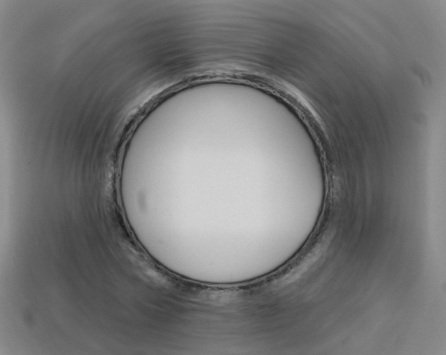 X0000114100778200910051229