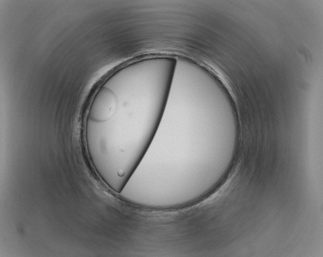 X0000114100779200910051229