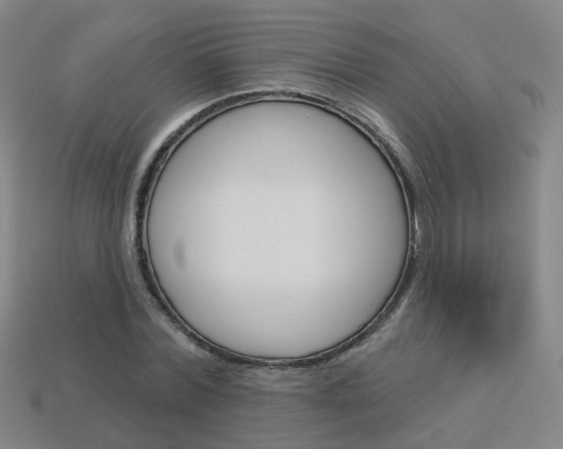 X0000114100780200910051229