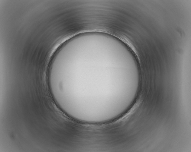X0000114100781200910051229