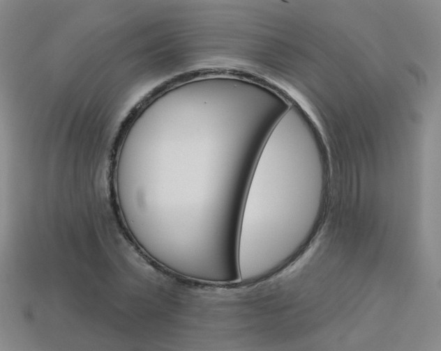 X0000114100783200910051229