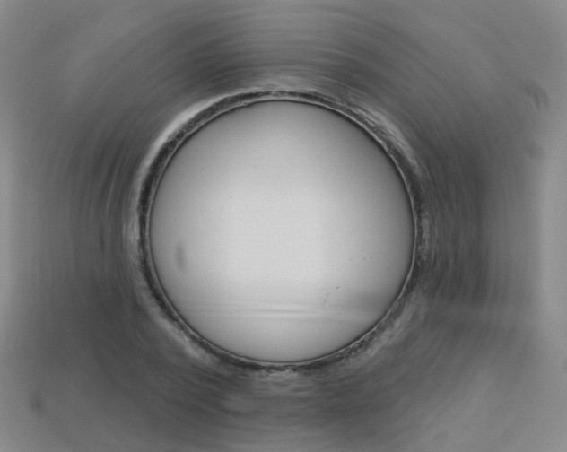 X0000114100784200910051229