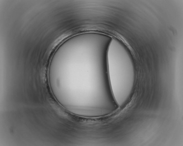 X0000114100786200910051229