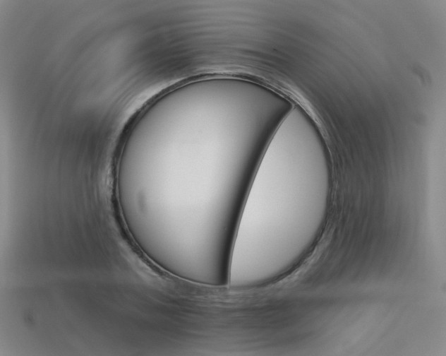 X0000114100787200910051229