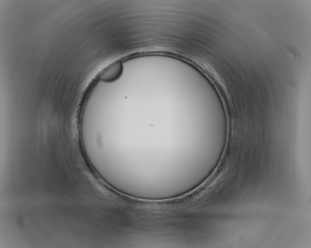 X0000114100789200910051229