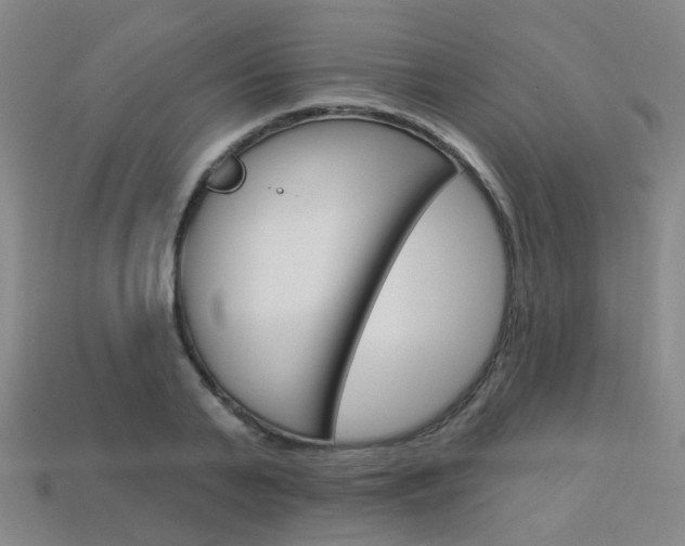X0000114100791200910051229