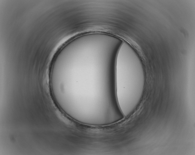 X0000114100792200910051229
