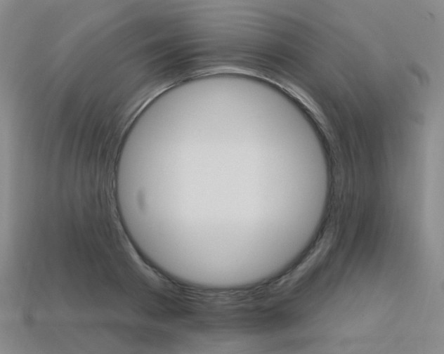 X0000114100793200910051229