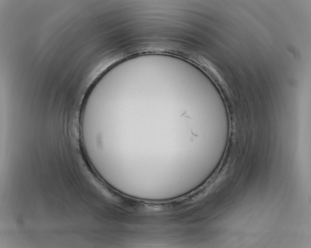 X0000114100794200910051229