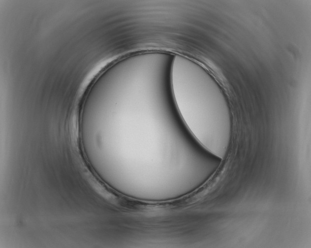 X0000114100796200910051229