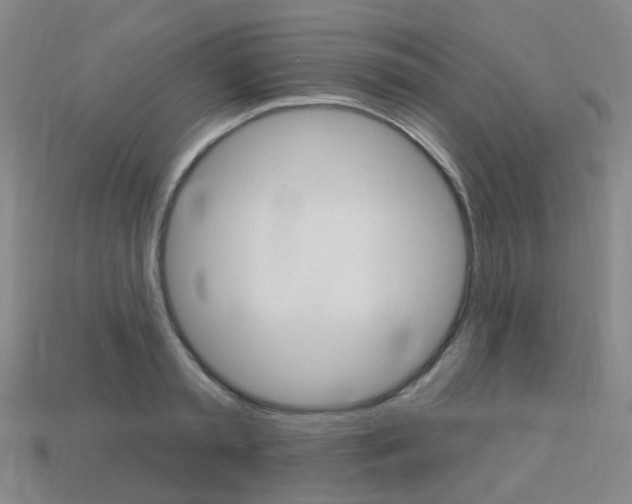 X0000114100797200910051229