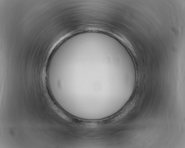 X0000114100798200910051229