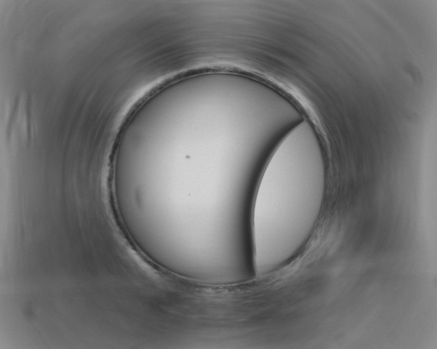 X0000114100799200910051229