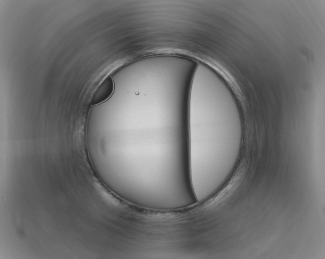 X0000114100801200910051229