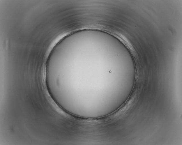 X0000114100804200910051229
