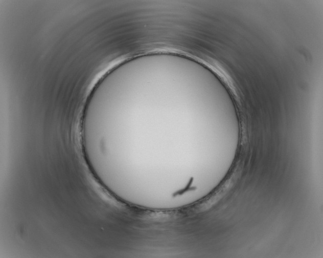X0000114100806200910051229