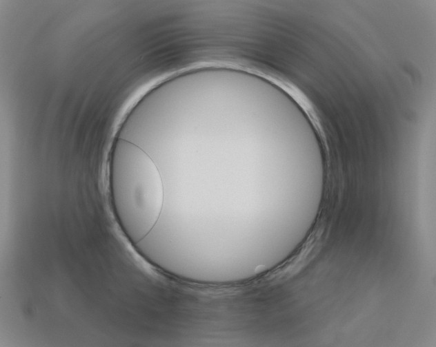X0000114100807200910051229