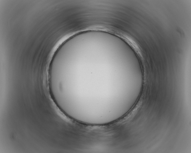 X0000114100808200910051229