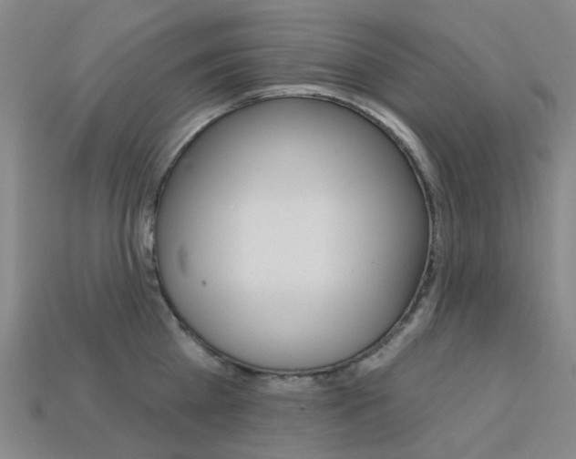 X0000114100809200910051229