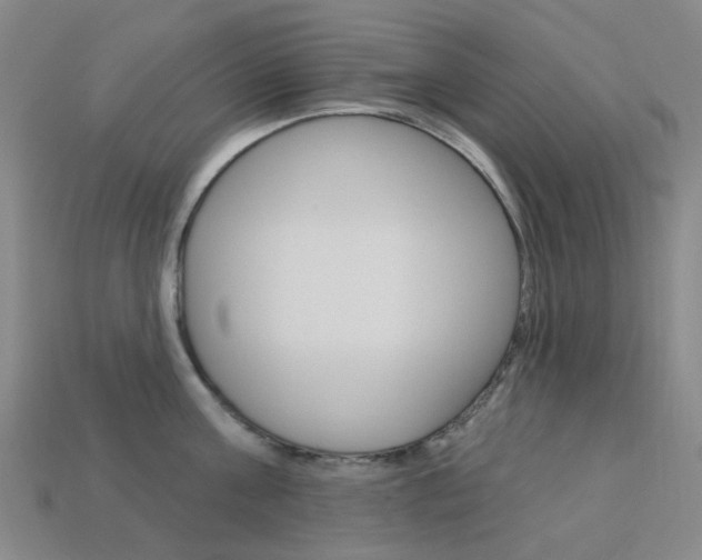 X0000114100811200910051229