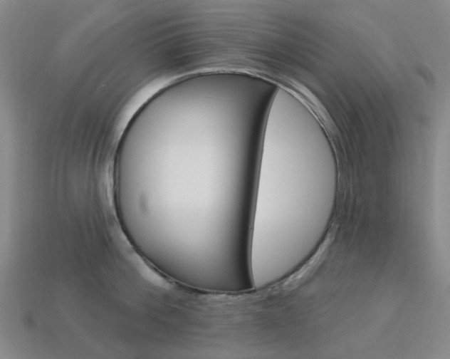 X0000114100812200910051229