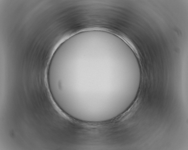 X0000114100813200910051229