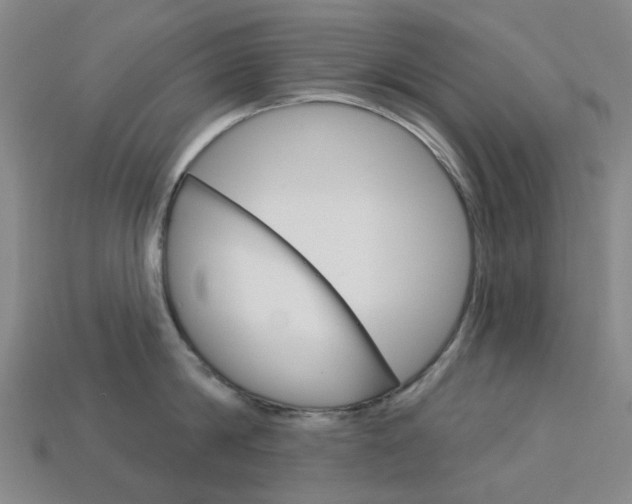 X0000114100814200910051229