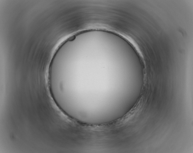 X0000114100815200910051229