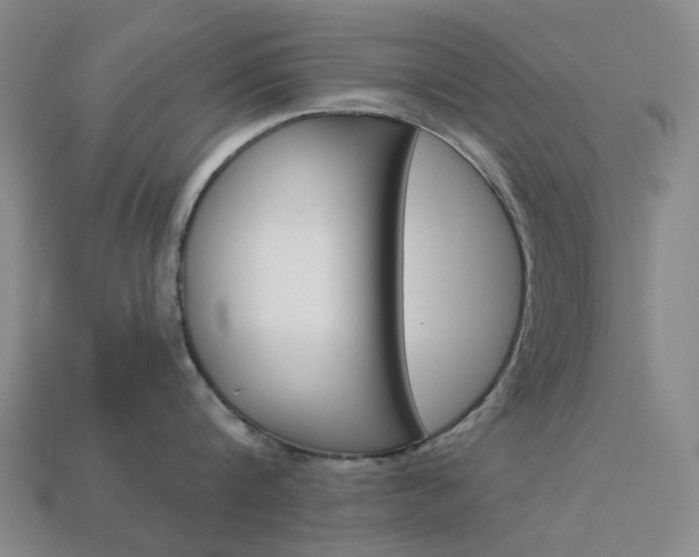 X0000114100816200910051229