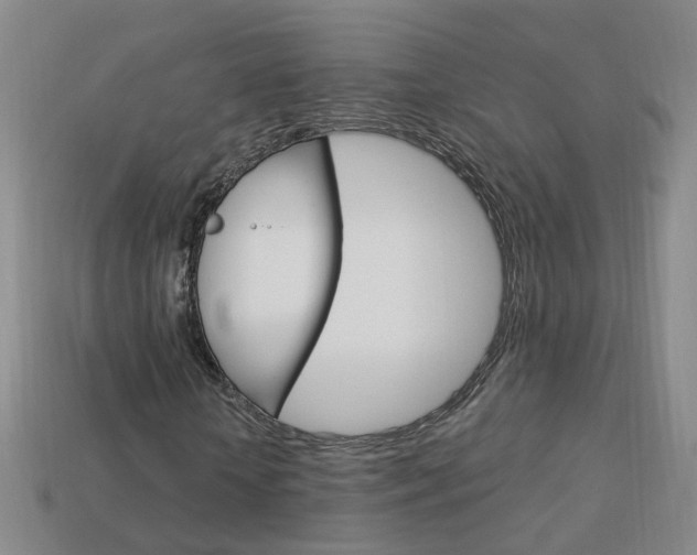 X0000114100818200910051228