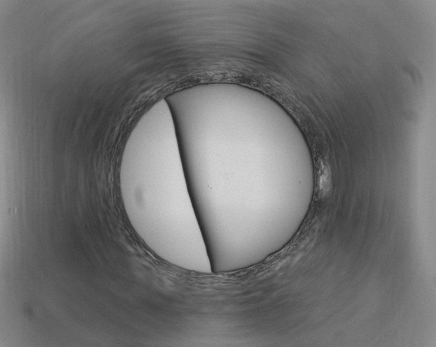 X0000114100819200910051228