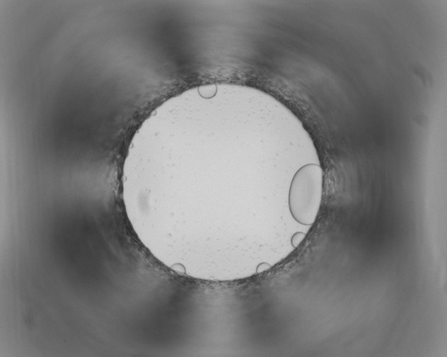 X0000114100820200910051228