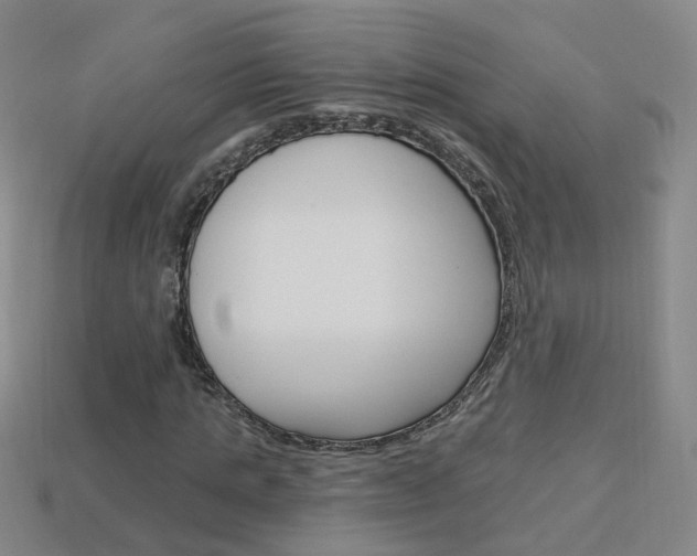 X0000114100821200910051228