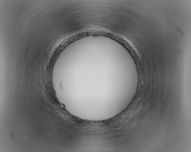 X0000114100823200910051228