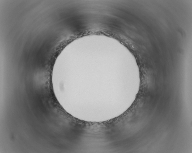 X0000114100824200910051228