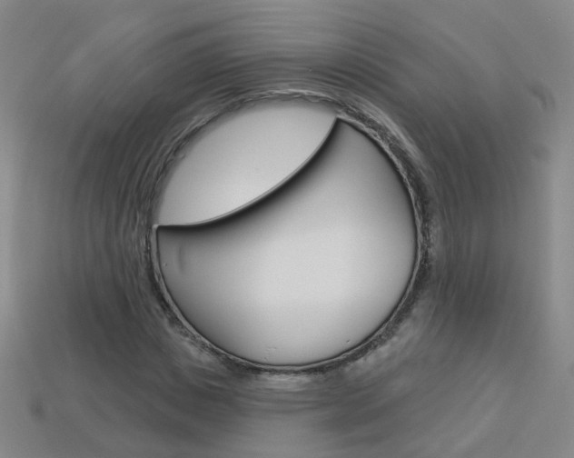 X0000114100825200910051228
