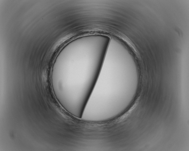 X0000114100826200910051229
