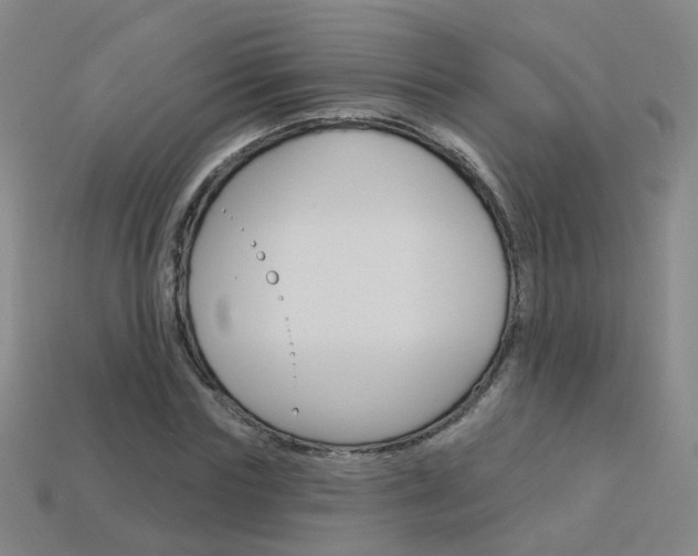 X0000114100827200910051229